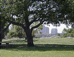 Discovery Park in Sacramento