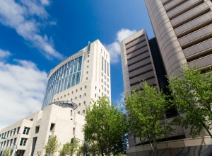 Sacramento City Information
